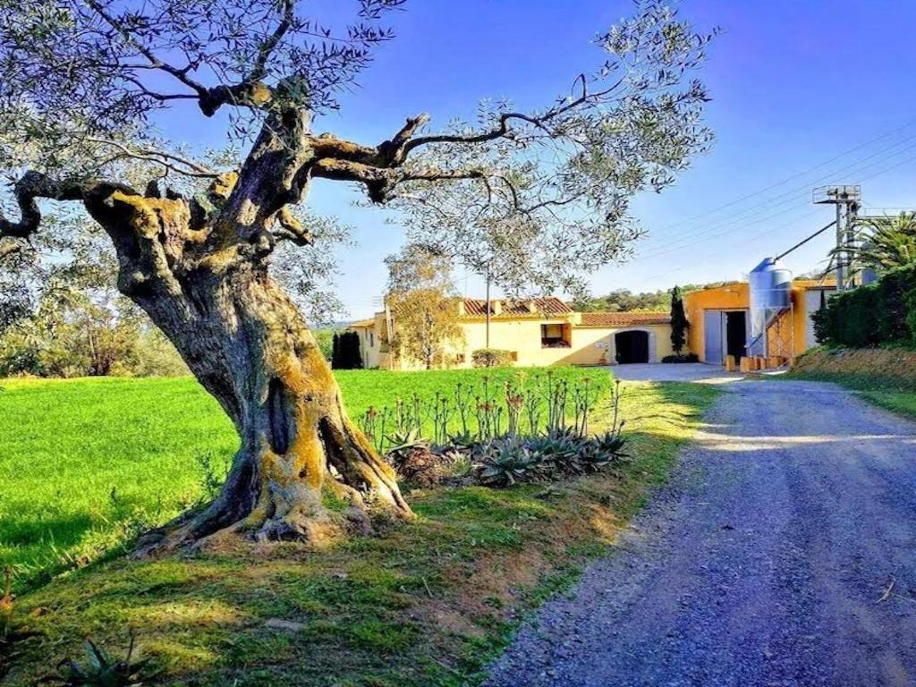 Rural Mas Hortus Villa Girona